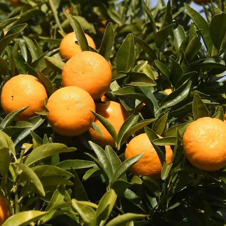 Le La Petite Colline A Lejlighed