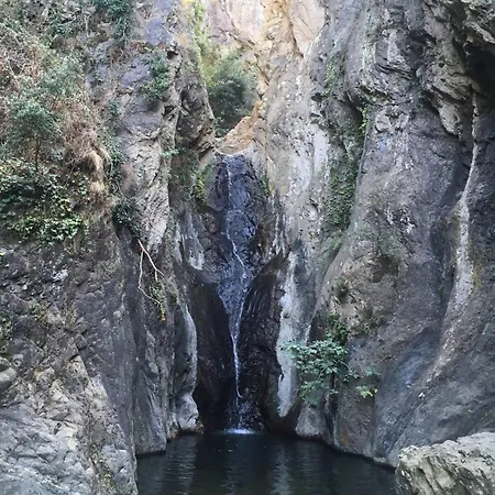 Le La Petite Colline A شقة Céret